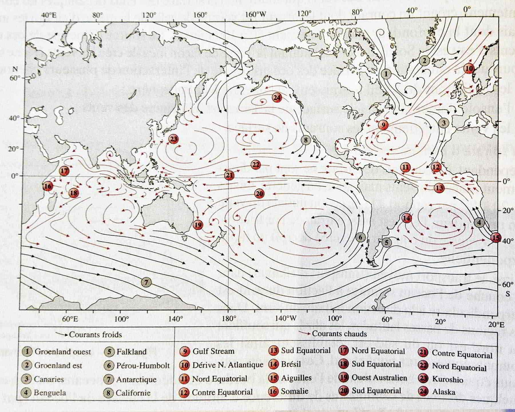 Carte de la circulation océanique globale de surface